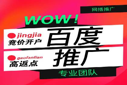 百度搜索优化：成功案例分析及策略解析